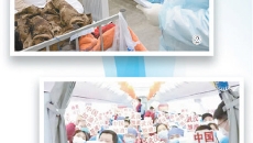 开元国际游戏app【集团】 - welcome