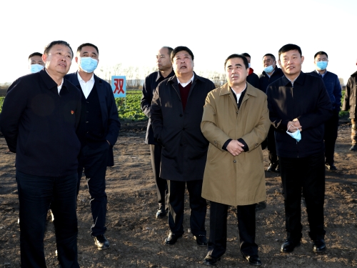 20211021  王智奎在双矿调研05 张宪臣摄