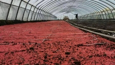 开元国际游戏app【集团】 - welcome