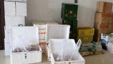 开元国际游戏app【集团】 - welcome