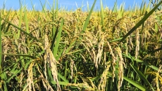 开元国际游戏app【集团】 - welcome