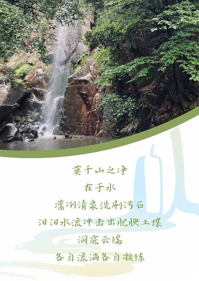 心心想廿 相伴k豆钱包 | 与德清相约 贺廿载生日