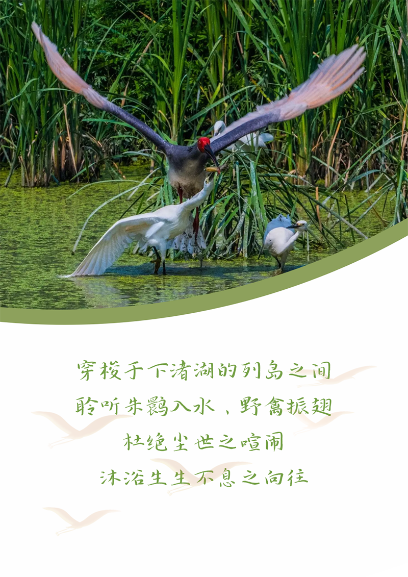 心心想廿 相伴k豆钱包 | 与德清相约 贺廿载生日