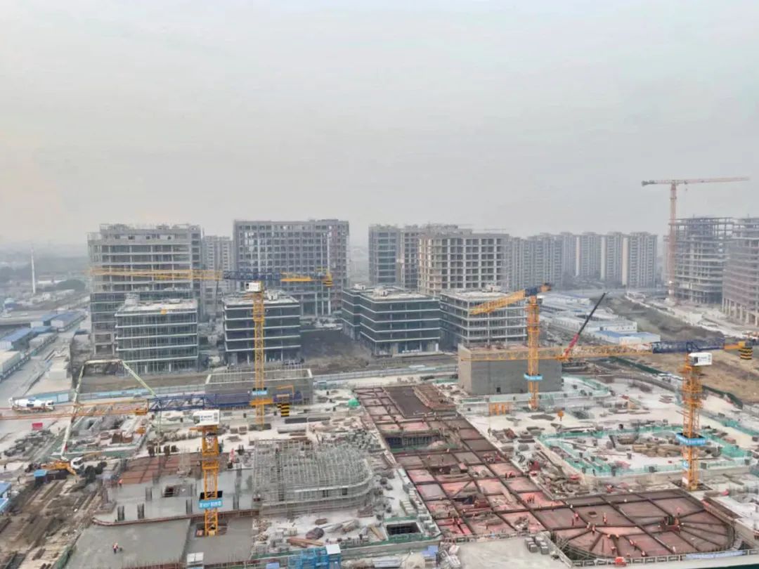 “大虹桥”区域内，这个沉大产业项目新年新进展！